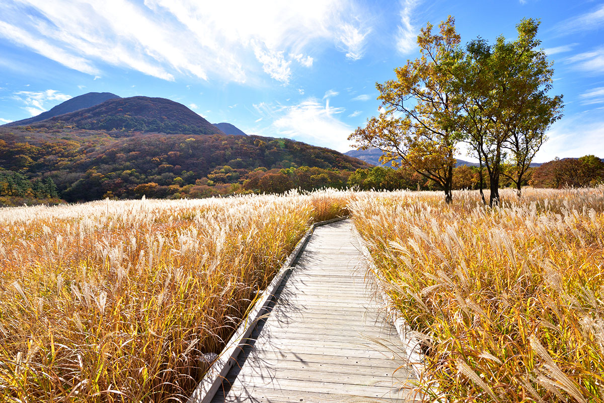 Ngày 02: Tham quan Beppu
